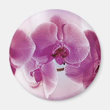 Orchidées pourpres aimant