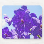 Orchidées pourpres/bleu tapis de souris