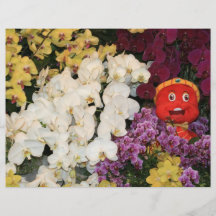 Orchidées Prospectus Avec Motif