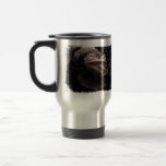 Ordures croquantes de feuille tasses