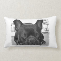 Oreiller de bouledogue français