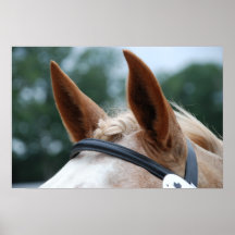 oreilles de cheval affiche