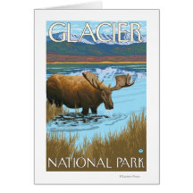 Orignaux buvant au lac - parc national de glacier, carte de vœux