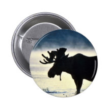 Orignaux de Taureau Badges