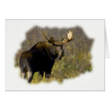 Orignaux de Taureau Cartes De Vœux