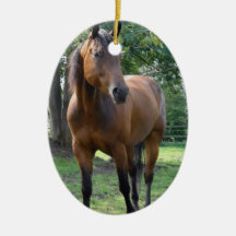 Ornement de cheval de pur sang de baie