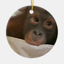 Ornement de chimpanzé de bébé