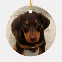 Ornement de chiot de dobermann