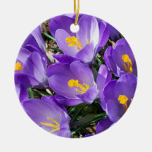 Ornement de crocus