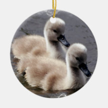 Ornement de cygne de bébé