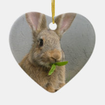 Ornement de lapin de lapin