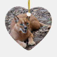 Ornement de Noël de Caracal Lynx