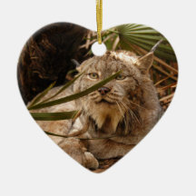 Ornement de Noël de Lynx de Canadien