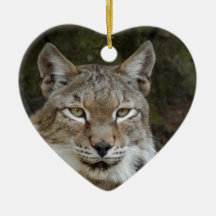 Ornement de Noël de Lynx de Sibérien