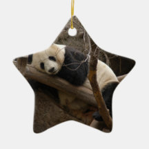 Ornement de Noël d'ours panda