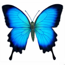 Ornement de papillon de Papilio Ulysse Photo Sculpture