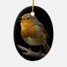 Ornement de Robin