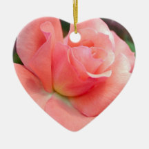 Ornement de rose de rose