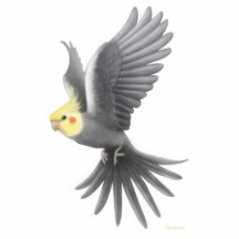 Ornement de vacances de Cockatiel de vol Photo Sculpture