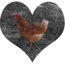 Ornement en forme de coeur de Noël de poulet Photo Sculpture