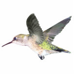 ornement Rubis-throated du colibri 2x3 Découpage En Acrylique