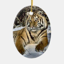 Ornement sauvage de Noël d'art de tigre