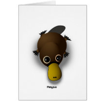 ornithorynque cartes de vœux