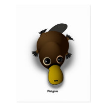 ornithorynque cartes postales