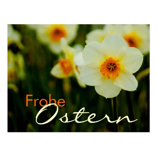 Osterglocken • Oster-Postkarte Cartes Postales