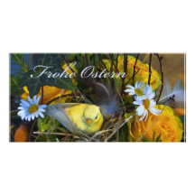 Ostergruss Carte Avec Photo