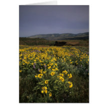 OU, gorge du fleuve Columbia, plateau de Rowena, T Carte