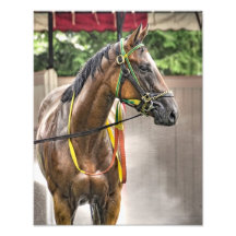 Ouragan Teri chez Saratoga Photographies D’art