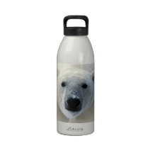 Ours blanc bouteilles d'eau