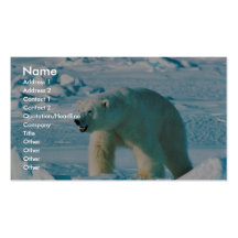Ours blanc cartes de visite professionnelles