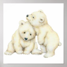 Ours blanc CUB Affiche