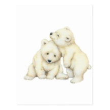 Ours blanc CUB Carte Postale