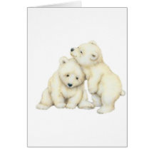 Ours blanc CUB Cartes De Vœux