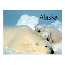 Ours blanc de l'Alaska avec la carte postale de pe