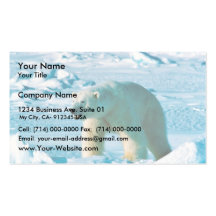 Ours blanc modèles de cartes de visite