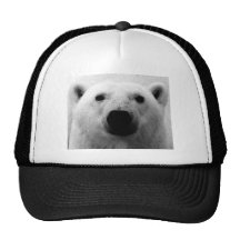 Ours blanc noir et blanc casquettes de camionneur