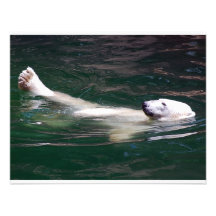 Ours blanc se reposant juste invitation