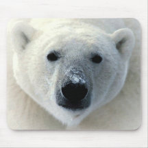 Ours blanc tapis de souris