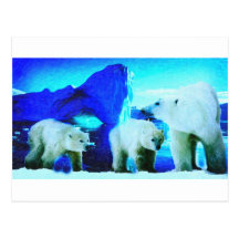 ours blancs 2 cartes postales