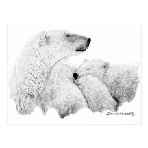 Ours blancs cartes postales