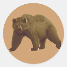 Ours de Brown Autocollants Ronds
