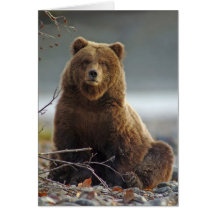Ours de Brown d'Alaska chez Kenai NWR, Alaska Carte