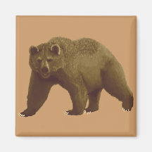Ours de Brown Magnets Pour Réfrigérateur