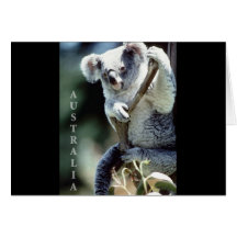 Ours de koala de l'Australie Cartes De Vœux
