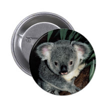 Ours de koala mignon pin's