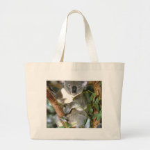 Ours de koala sac